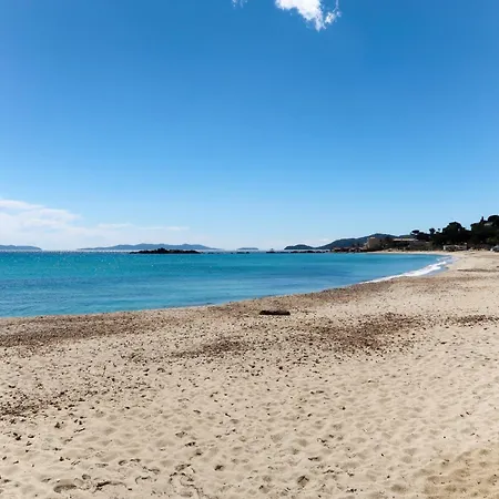 Apartment Les Alizees By Interhome Le Lavandou